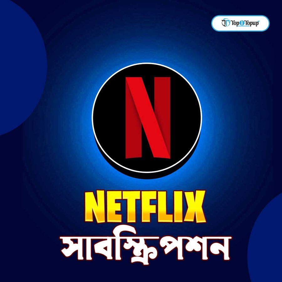 Netflix Subscription